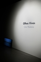 © José Filipe de Alexandre