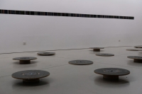 © Patrícia Barbosa